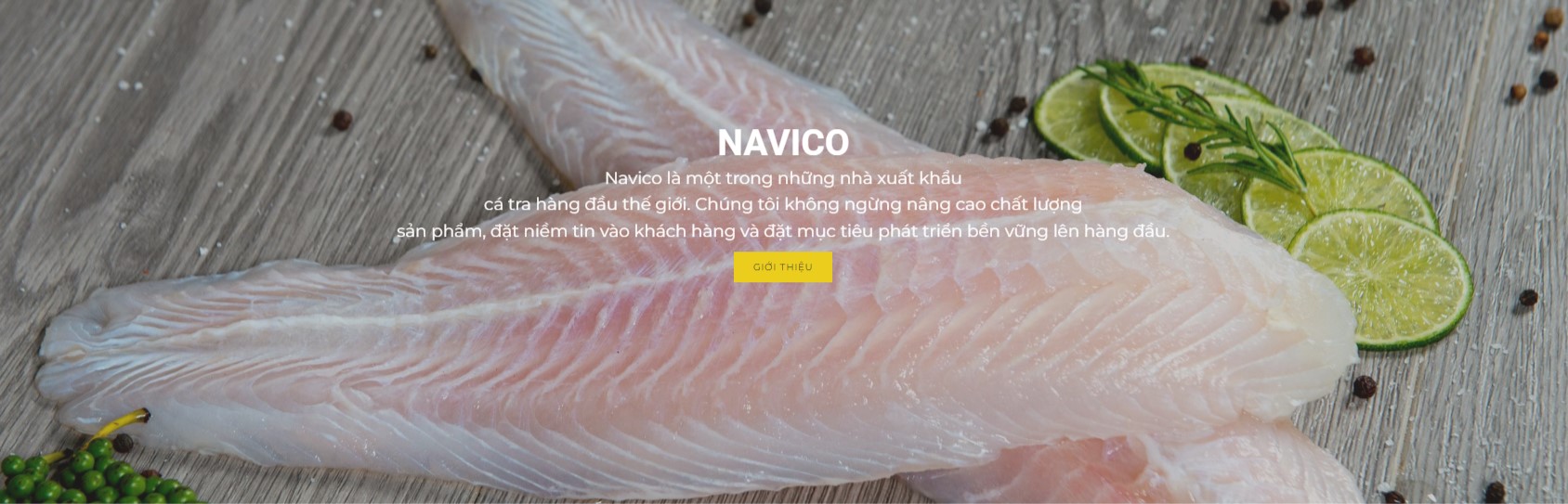 BÁO CÁO PHÂN TÍCH CÔNG TY CỔ PHẦN NAM VIỆT